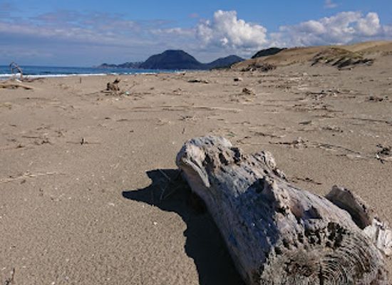 japan/tottori-sand-dunes/attraction/horse-back-dune