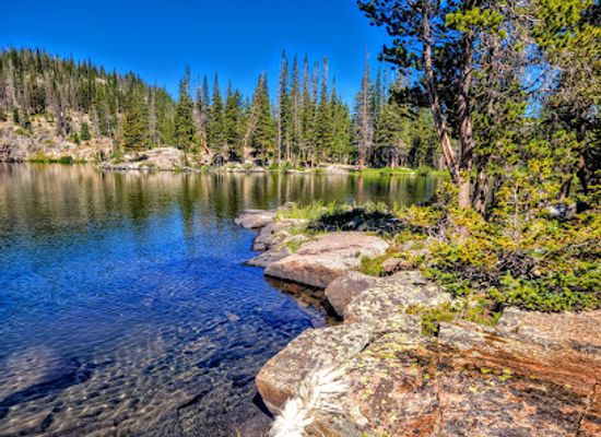 wyoming/snowy-range/attraction/medicine-bow-routt-national-forest