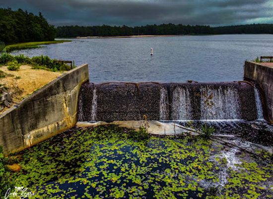 new-jersey/pine-barrens/attraction/bass-river-state-forest