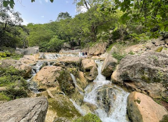 oman/mirbat/attraction/ain-hashir-wa-ashjar-altabladi