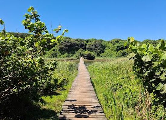 south-africa/durban/attraction/umhlanga-lagoon-nature-reserve