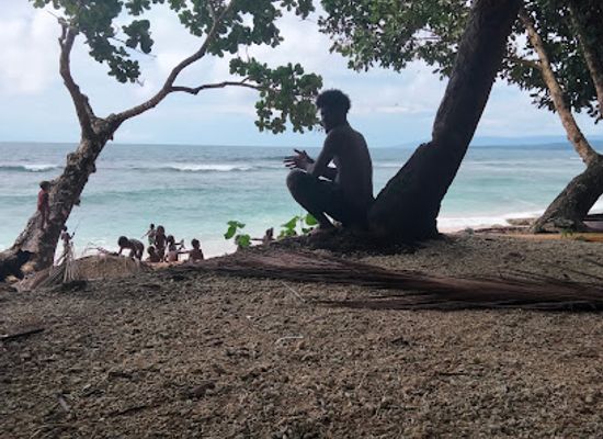 solomon-islands/guadalcanal/attraction/global-exports