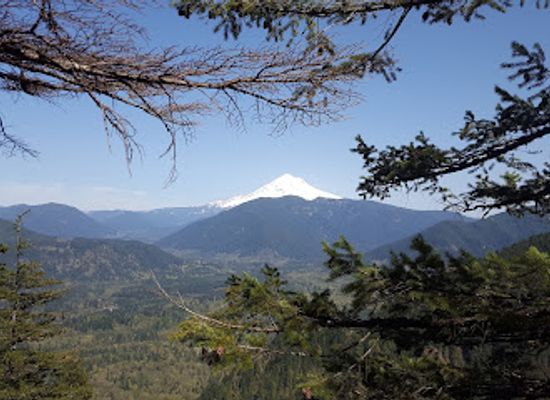 oregon/mt-hood-territory/attraction/salmon-huckleberry-wilderness