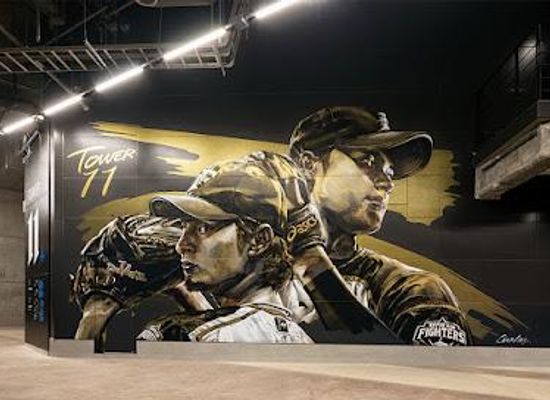 japan/sapporo/attraction/hokkaido-ballpark-f-village