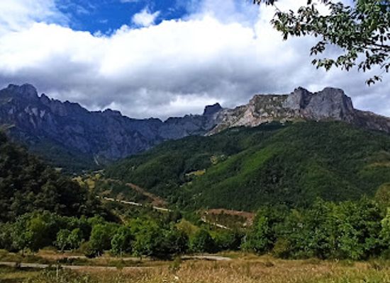 spain/picos-de-europa/attraction/hayedo-de-las-ilces