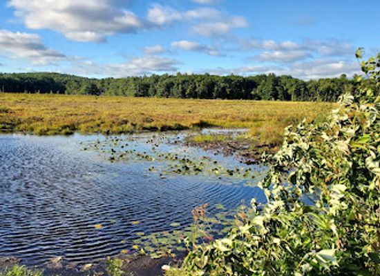 massachusetts/lowell/attraction/lowell-dracut-tyngsborough-state-forest