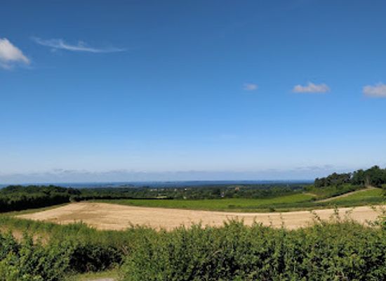 denmark/funen/attraction/trebjerg-dronningeudsigten