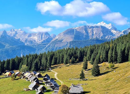 slovenia/upper-carniola/attraction/planina-zajamniki