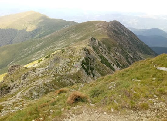 romania/parang-mountains/attraction/the-stoenita-peak-2421m
