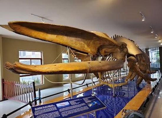 vietnam/nha-trang/attraction/museum-of-oceanography