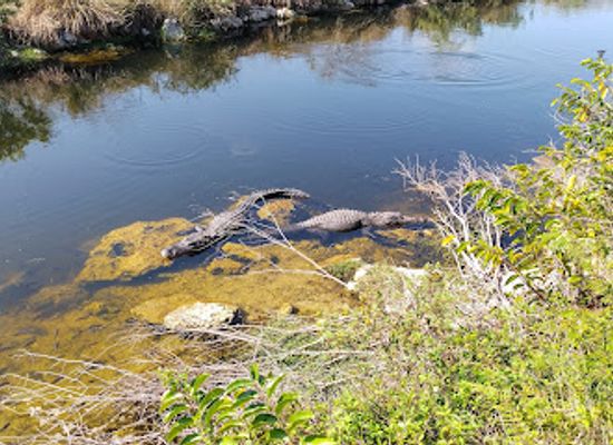 florida/big-cypress-national-preserve/attraction/big-cypress-oasis-visitor-center