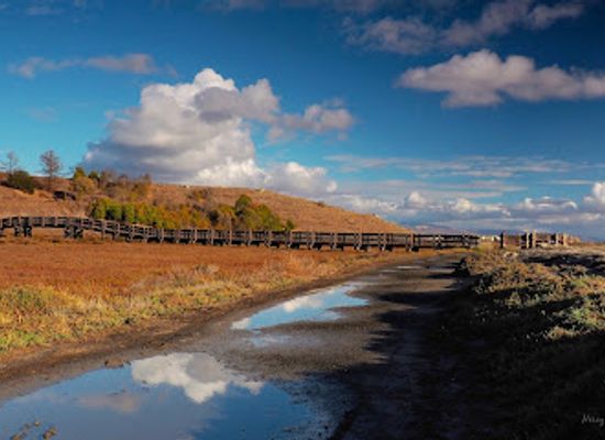 california/north-bay/attraction/don-edwards-san-francisco-bay-national-wildlife-refuge