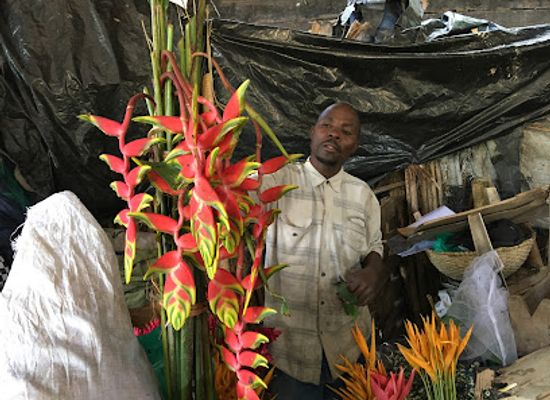 burundi/ngozi/attraction/market-central