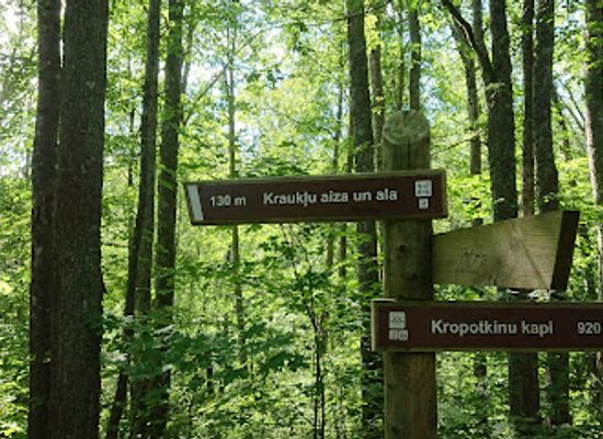 latvia/teici-nature-reserve/attraction/laima-clock