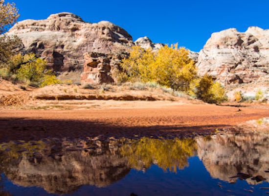 utah/cache-valley/attraction/horseshoe-canyon