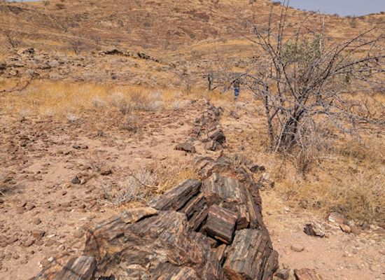 namibia/kaokoland/attraction/three-stages-petrified-forest