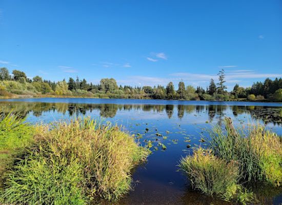 washington/bellevue/attraction/lake-hills-greenbelt