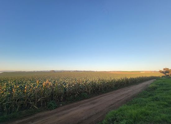 california/salinas-valley/attraction/sunset-state-beach