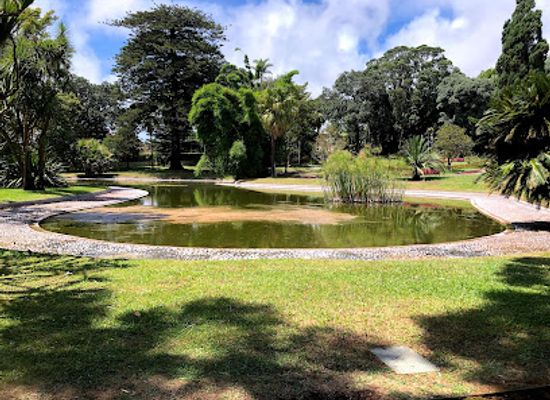 portugal/azores/attraction/jardim-botanico-jose-do-canto