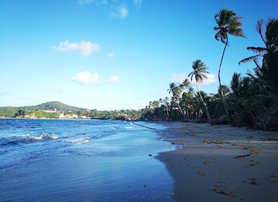 grenada/sauteurs/attraction/prospect-beach