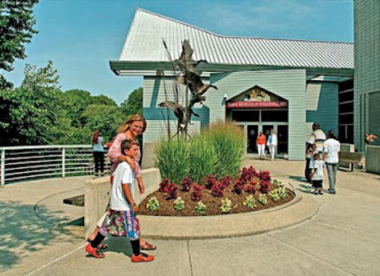 maryland/salisbury/attraction/the-ward-museum-of-wildfowl-art