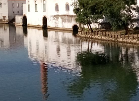 portugal/tomar/attraction/palacio-de-alvaiazere