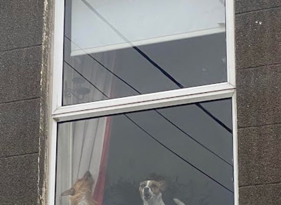 ireland/county-wexford/attraction/the-dog-s-window