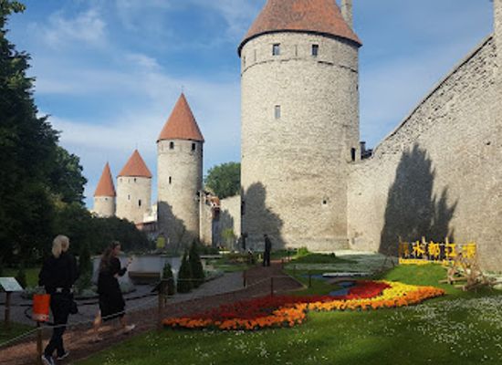 estonia/tallinn-old-town/attraction/estonian-museum-of-natural-history