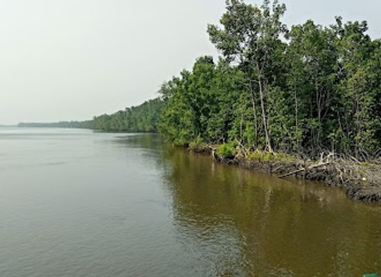 nigeria/owu-forest-reserve/attraction/edumanom-national-forest