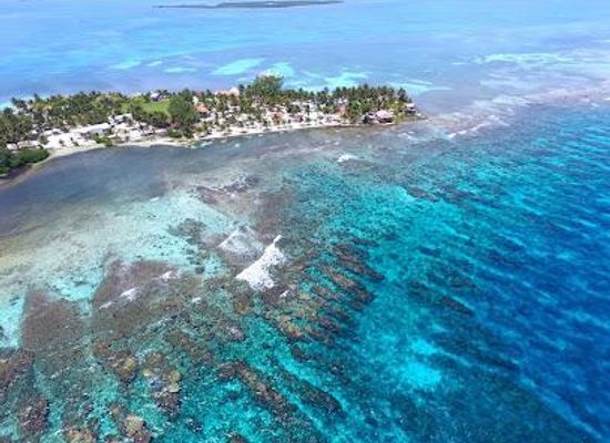 belize/placencia/attraction/south-water-caye