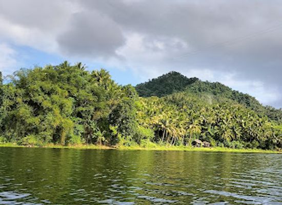 philippines/mimaropa/attraction/naujan-lake