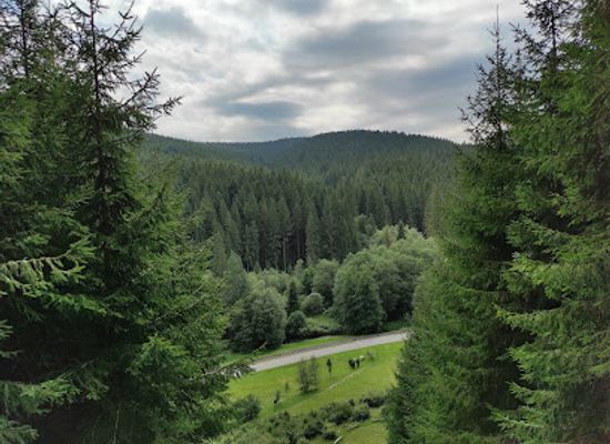 slovakia/martin/attraction/open-air-museum