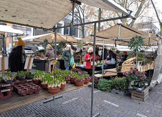 netherlands/vechtstreek/attraction/janskerkhof-bloemenmarkt