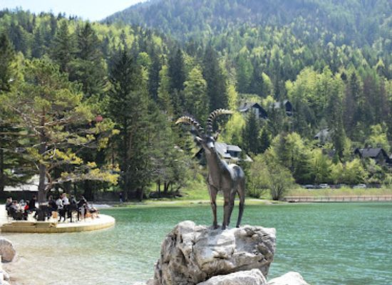 slovenia/kranjska-gora/attraction/pes-pot-ob-reki-pisnici