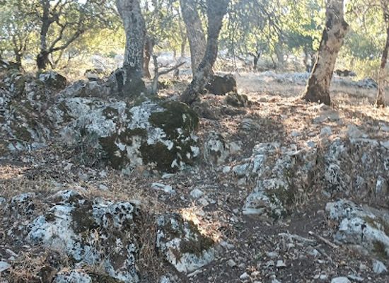 turkiye/paphlagonia/attraction/paleo-gargara-antik-kenti