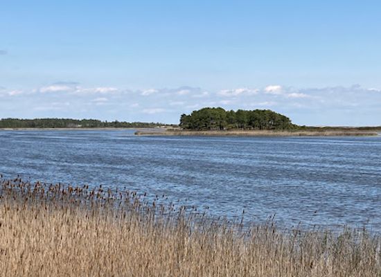 delaware/cape-henlopen-state-park/attraction/johnnie-walker-beach