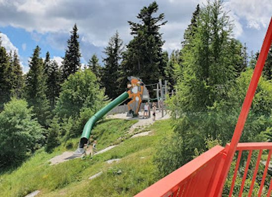 austria/burgenland/attraction/almschaukel-aussichtsplattform