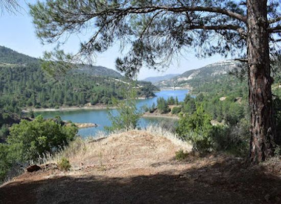 cyprus/troodos-mountains/attraction/tzelefos-bridge