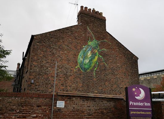 united-kingdom/york/attraction/york-s-tansy-beetle-mural