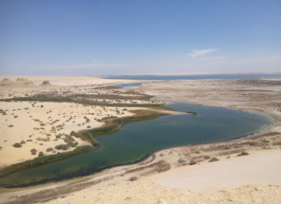 egypt/wadi-el-rayan-national-park/attraction/organizing-fayoum-trips-lake-qarun-wadi-ryan-wadi-hitan