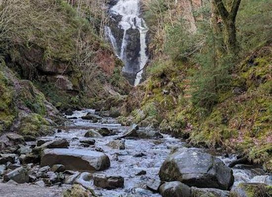 united-kingdom/stirlingshire/attraction/queen-elizabeth-forest-park