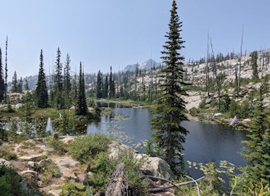 idaho/salmon-river/attraction/payette-national-forest
