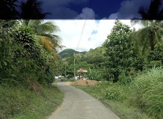 saint-vincent-and-the-grenadines/georgetown/attraction/river-14-south-rivers