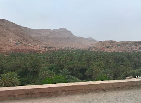 morocco/saharan-morocco/attraction/plantation-de-tinghir