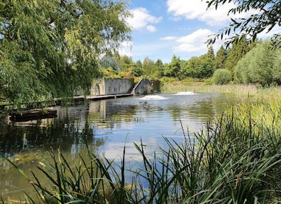 germany/hesse/attraction/botanical-garden