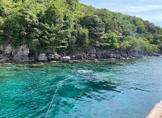 vietnam/phu-quoc/attraction/red-river-tours