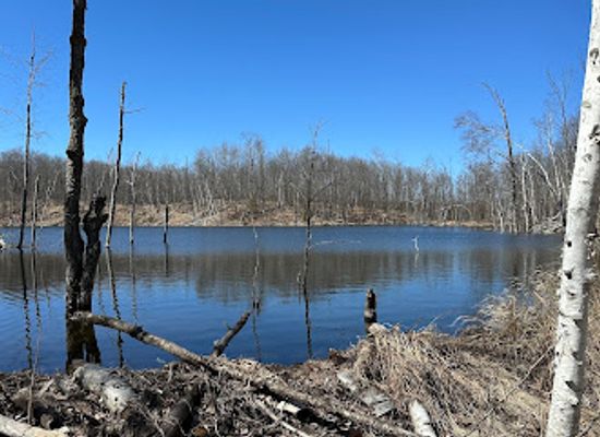 wisconsin/blue-hills/attraction/blue-hills-cross-country-ski-trails