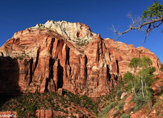 utah/zion-national-park/attraction/crawford-arch