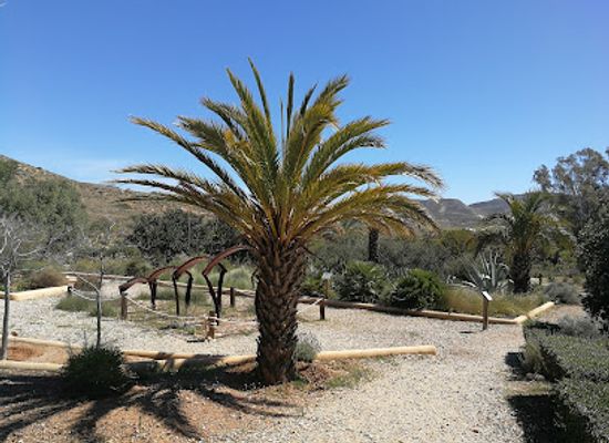 spain/cabo-de-gata/attraction/botanical-garden