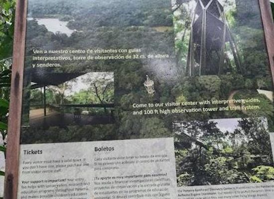 panama/colon/attraction/panama-rainforest-discovery-center